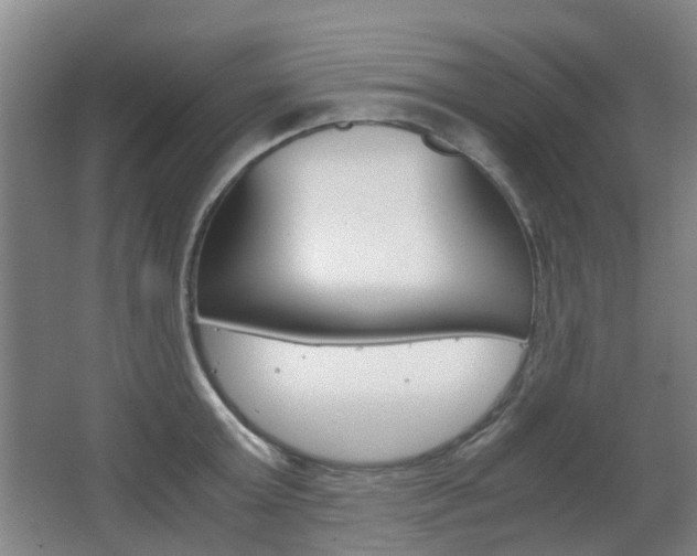 X0000063520803200601201124