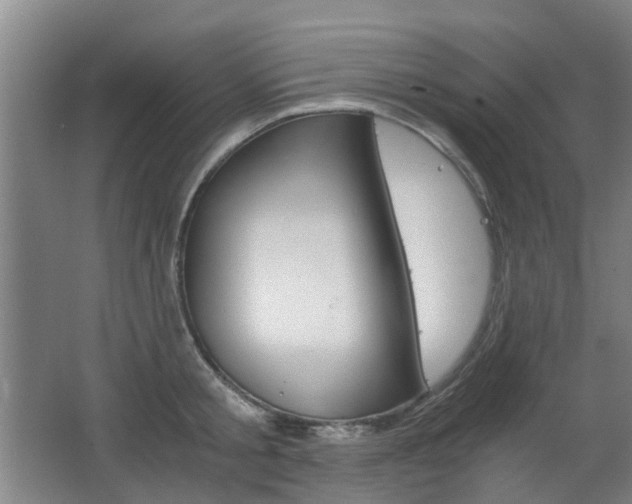 X0000063520805200601201124