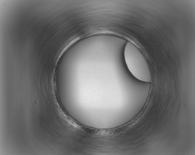 X0000063520806200601201124