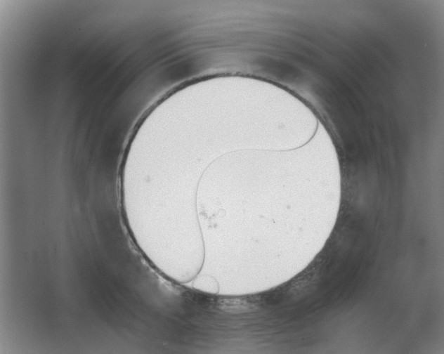 X0000063520807200601201124