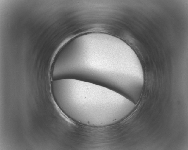X0000063520808200601201124