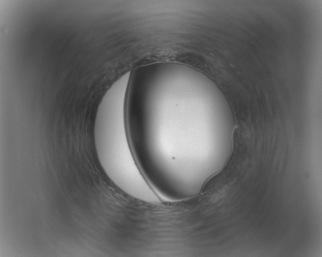 X0000063520818200601201123