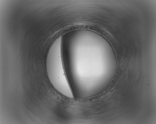 X0000063520821200601201123