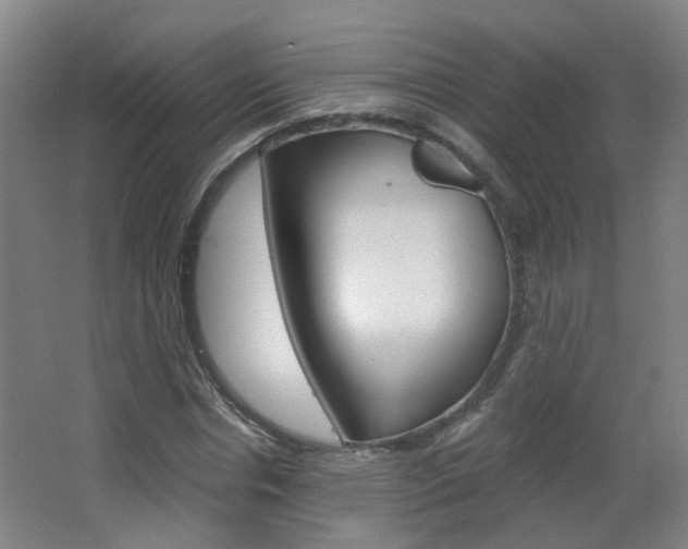 X0000063520826200601201123