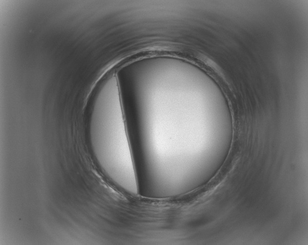 X0000063520829200601201123