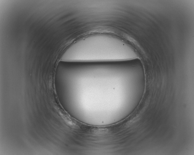 X0000063520833200601201123
