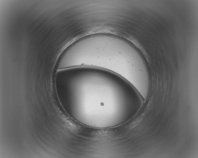 X0000063520834200601201123