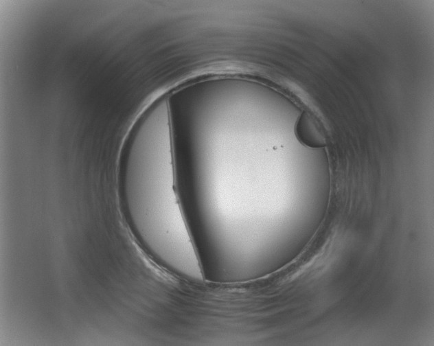 X0000063520837200601201123