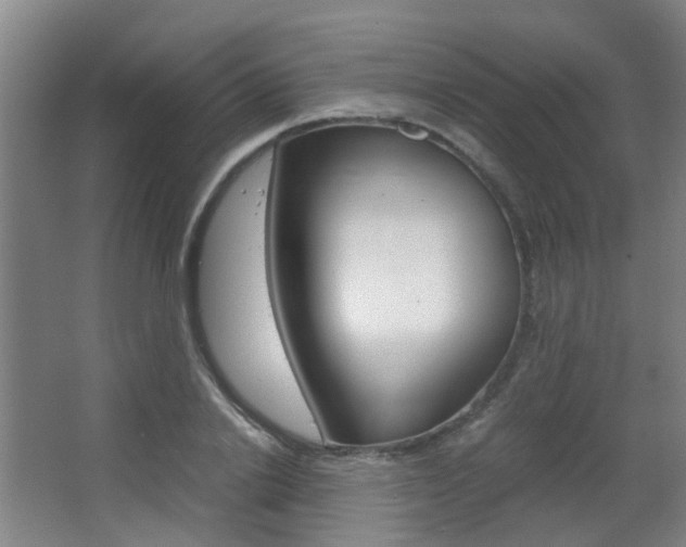 X0000063520838200601201123