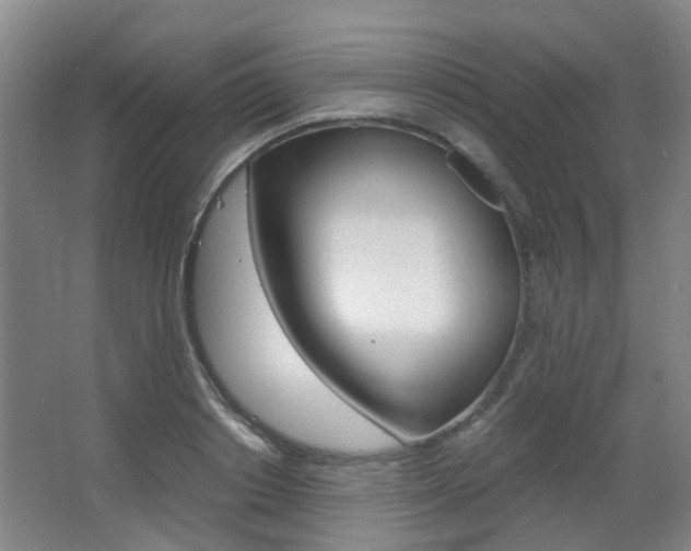 X0000063520842200601201123