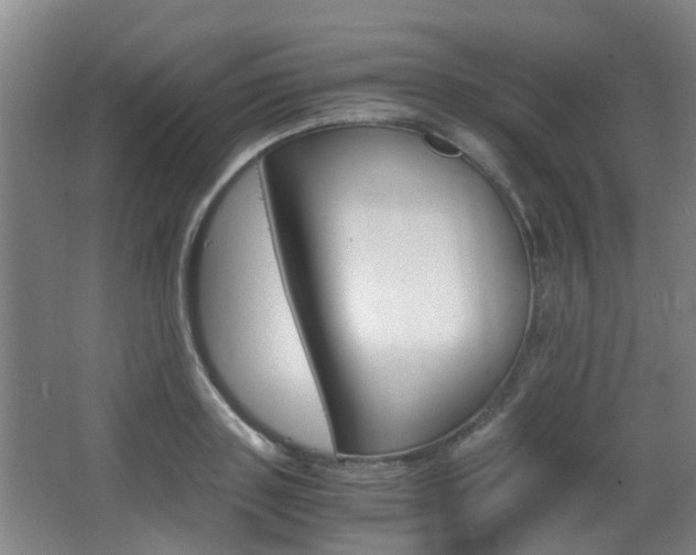 X0000063520843200601201123