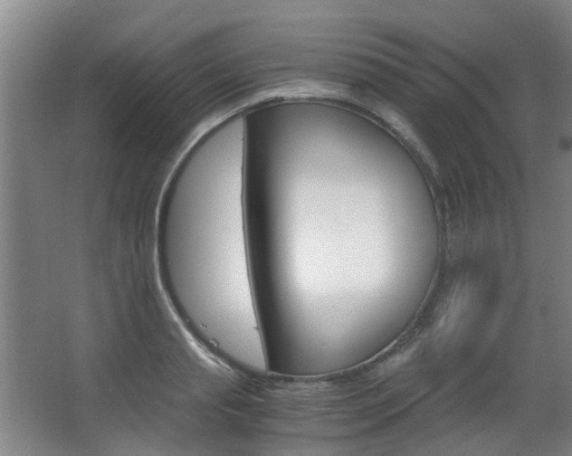 X0000063520845200601201123