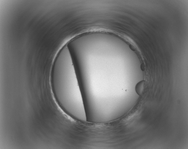 X0000063520847200601201123