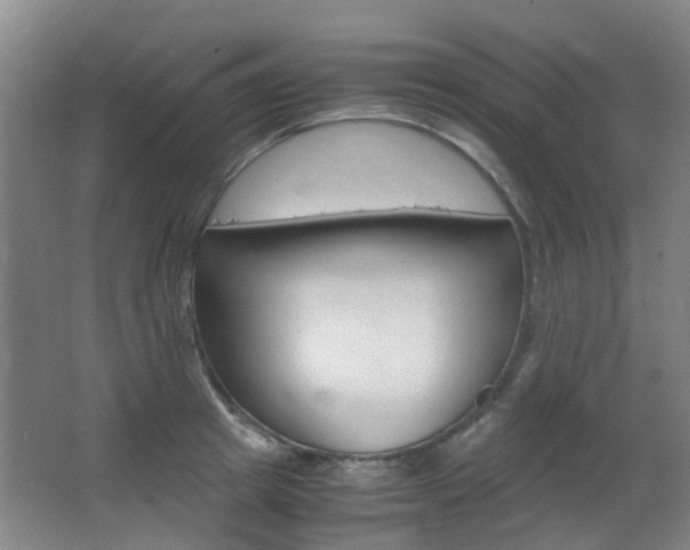 X0000063520849200601201123