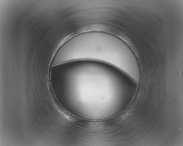 X0000063520850200601201123