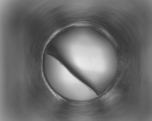 X0000063520853200601201123