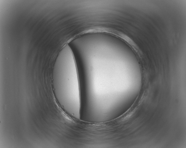 X0000063520857200601201123