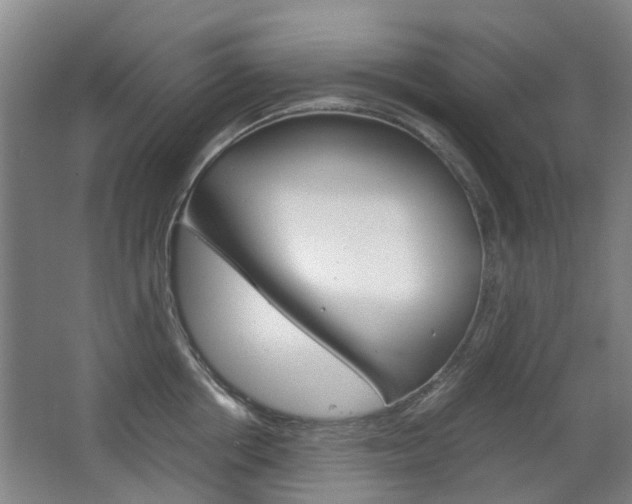 X0000063520858200601201123