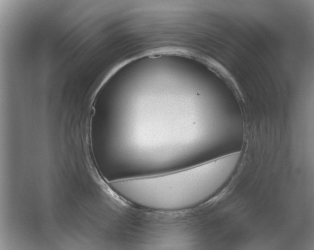 X0000063520860200601201123