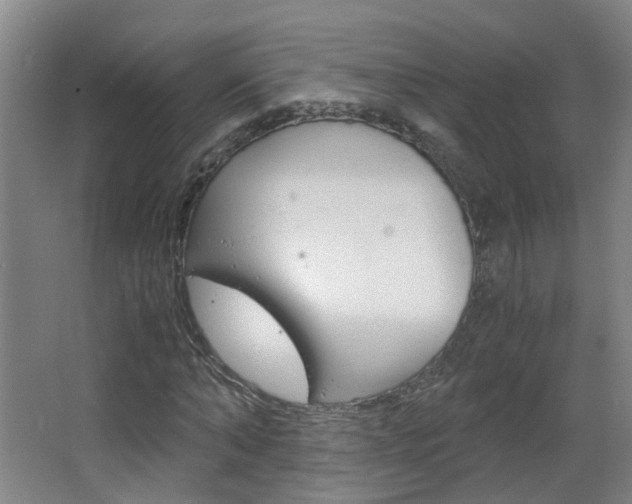 X0000063520870200601201123