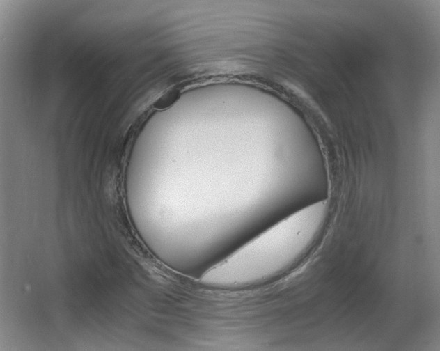 X0000063520873200601201122