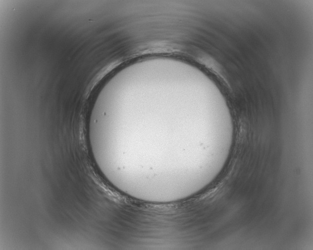 X0000063520874200601201122