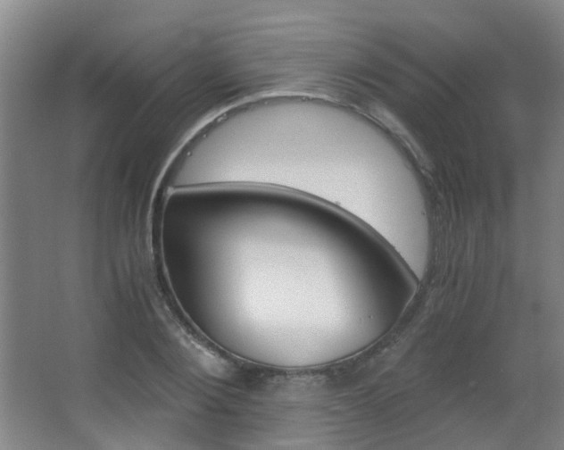 X0000063520884200601201122