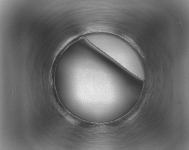 X0000063520885200601201122