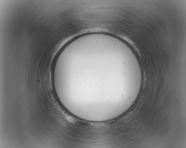 X0000063520886200601201122