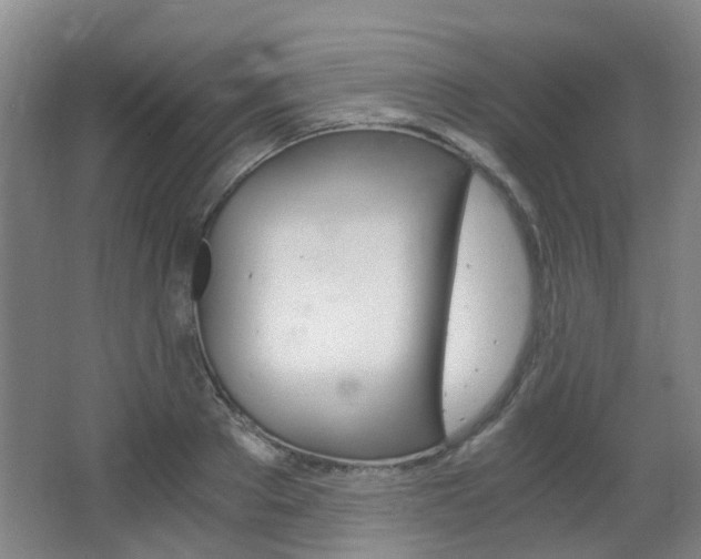 X0000063520889200601201122