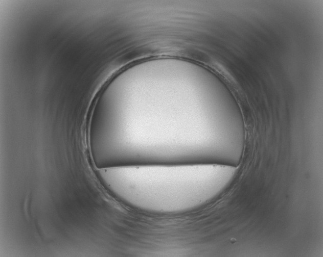 X0000063520891200601201122