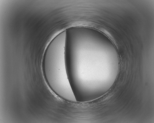 X0000063520901200601201122