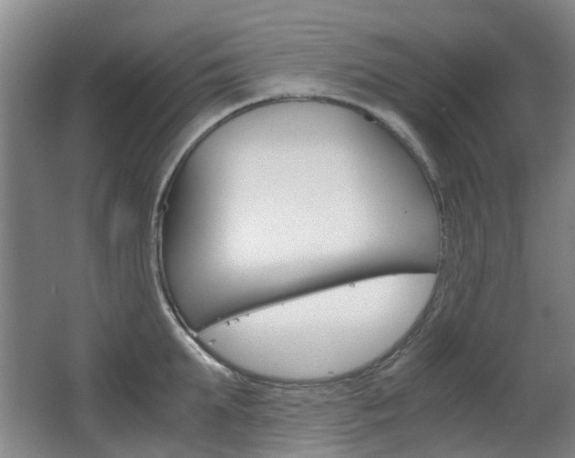 X0000063520903200601201122