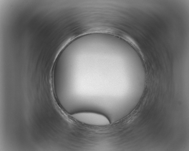 X0000063520907200601201122