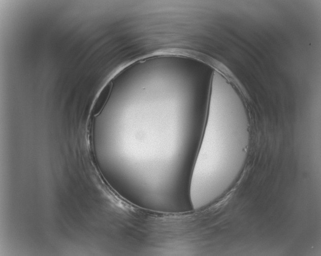 X0000063520908200601201122