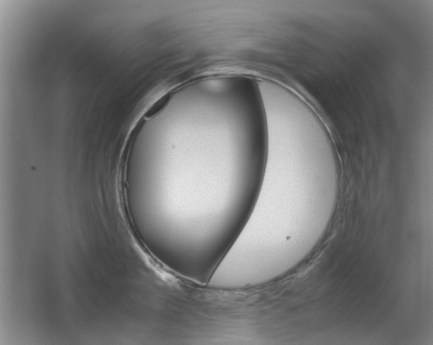 X0000063520909200601201122