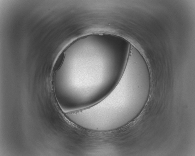 X0000063520912200601201122