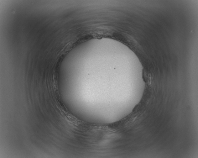 X0000063520915200601201121