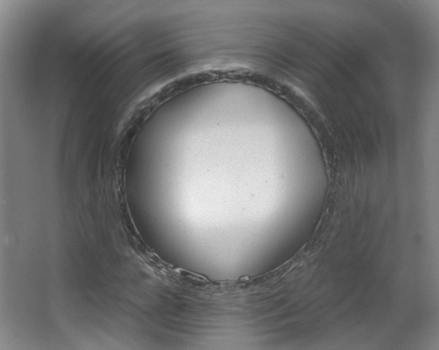X0000063520920200601201121