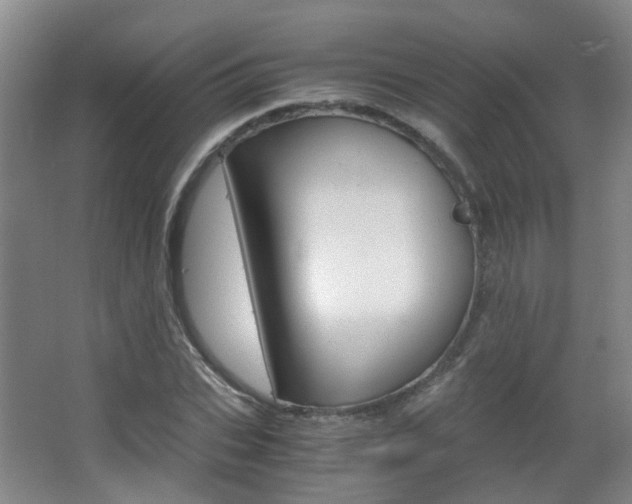X0000063520927200601201121