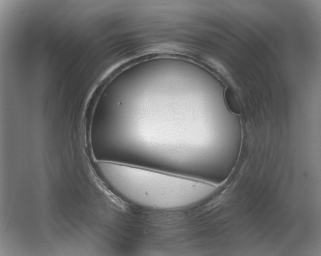 X0000063520931200601201121
