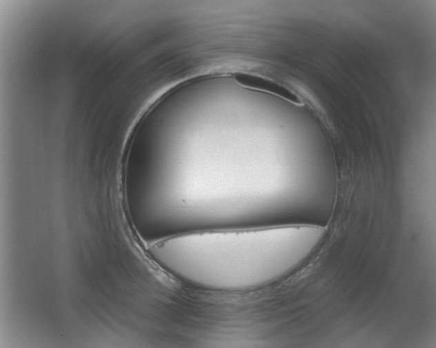 X0000063520948200601201122