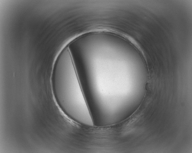 X0000063520951200601201122