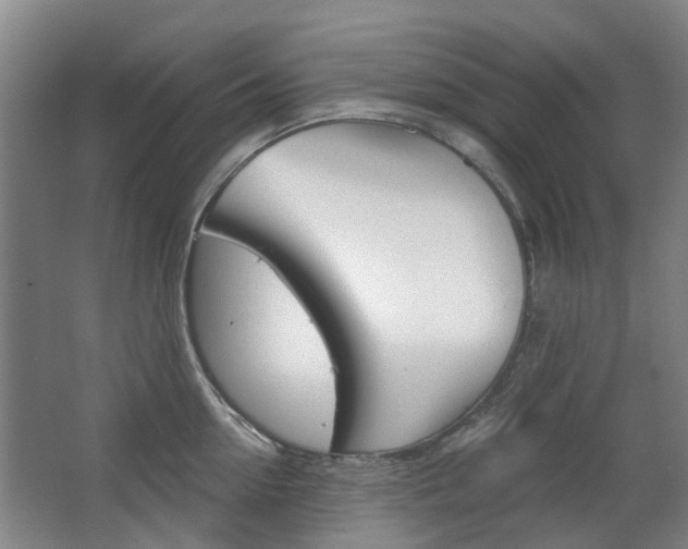 X0000063520954200601201122