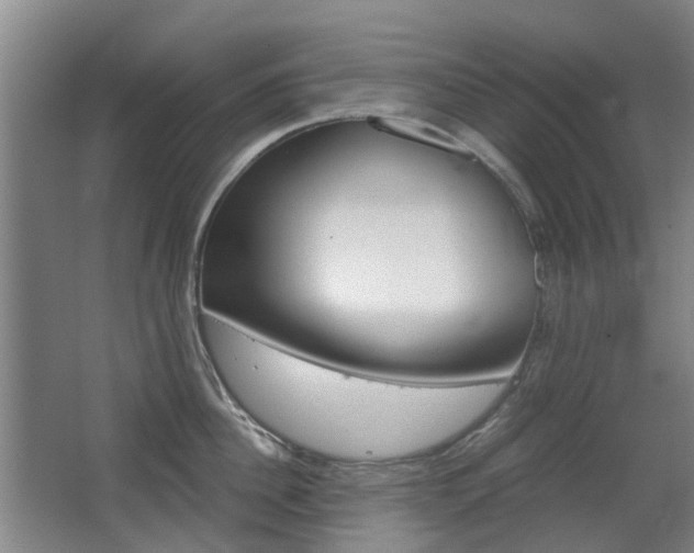 X0000063520956200601201122
