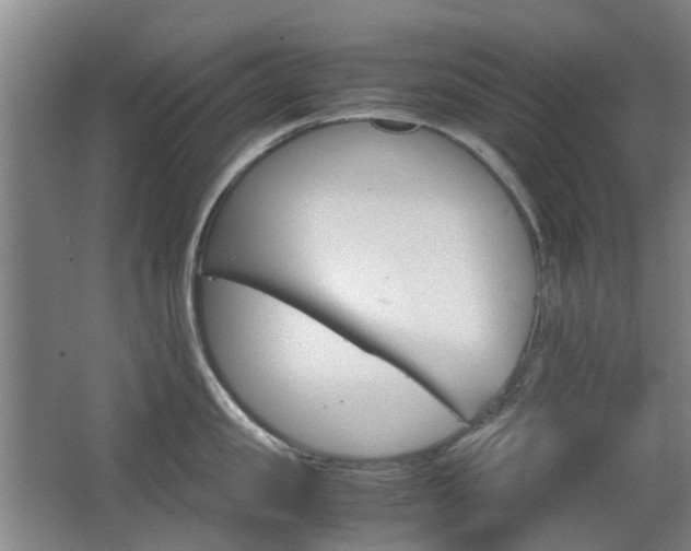 X0000063520957200601201122