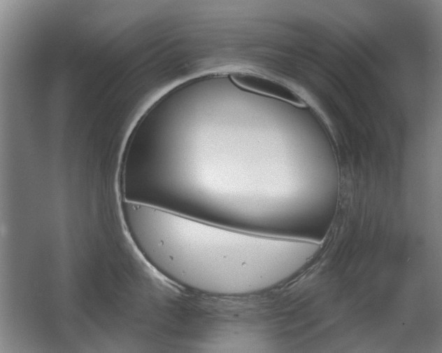 X0000063520959200601201122