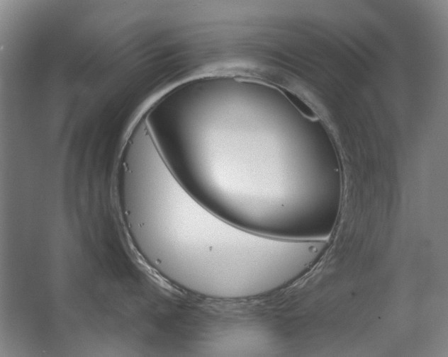 X0000063520960200601201122