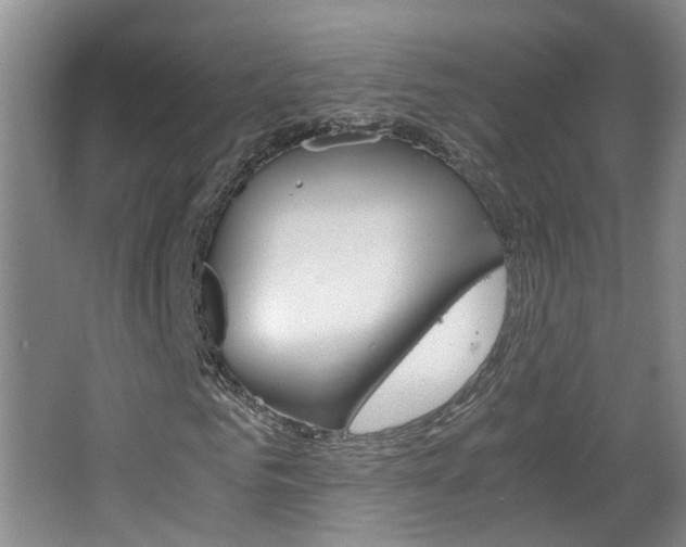 X0000063520961200601201121