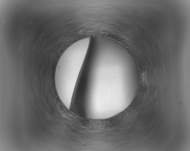 X0000063520963200601201121
